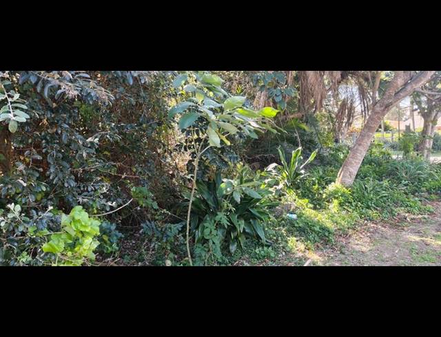 LAND FOR SALE IN GLENMORE BEACH